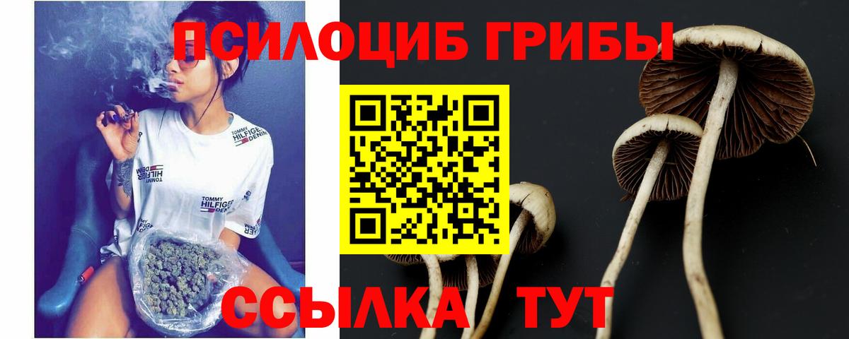 Галлюциногенные грибы Cubensis  Вход с VPN  Ирбит 